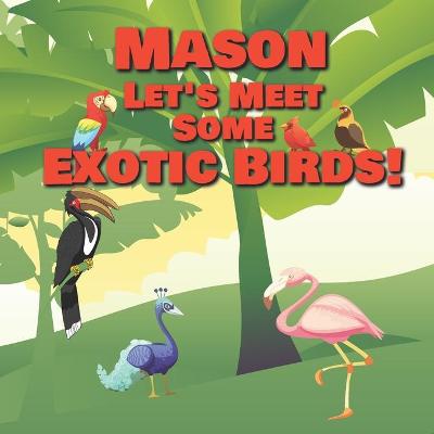 Book cover for Mason Let's Meet Some Exotic Birds!