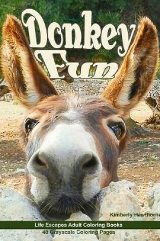 Cover of Donkey Fun