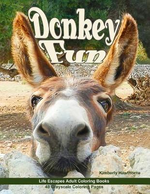 Book cover for Donkey Fun