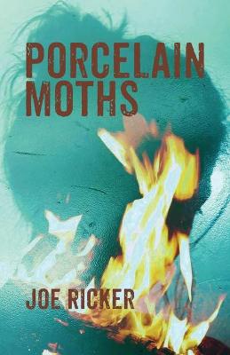 Book cover for Porcelain Moths