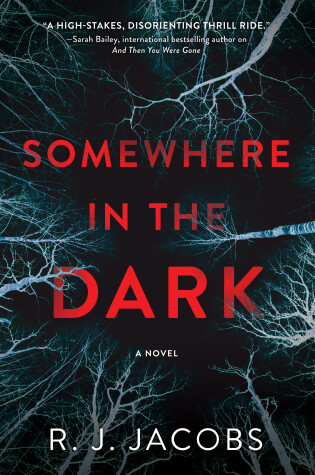 Cover of Somewhere in the Dark