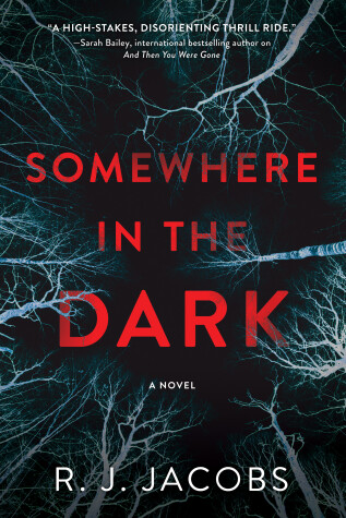 Book cover for Somewhere in the Dark