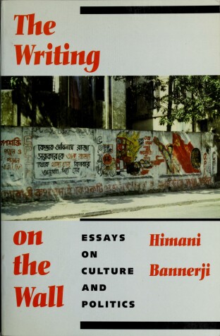 Book cover for Writing on the Wall