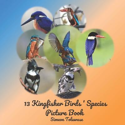 Book cover for 13 Kingfisher Birds' Species Picture Book