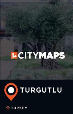 Book cover for City Maps Turgutlu Turkey