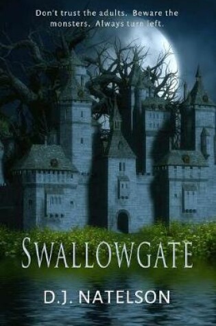 Cover of Swallowgate