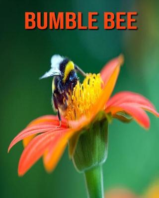 Book cover for Bumble Bee