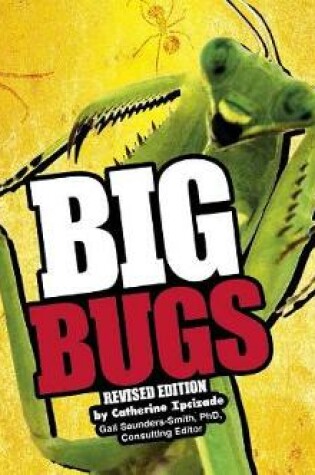 Cover of Big Bugs (Big)