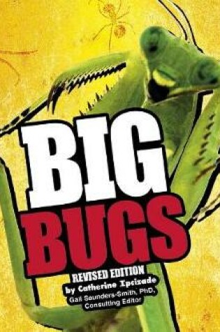 Cover of Big Big Bugs