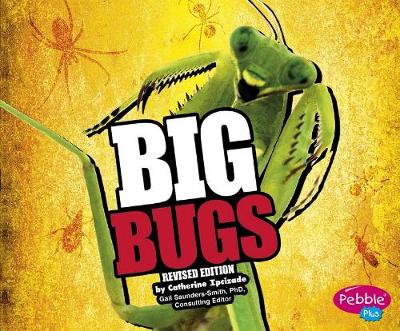 Book cover for Big Big Bugs