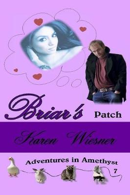 Book cover for Briar's Patch, Book 7, an Adventures in Amethyst Series Novel