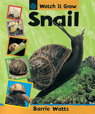 Book cover for Snail