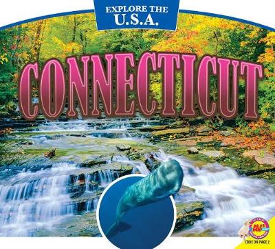 Book cover for Connecticut