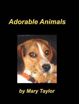 Book cover for Adorable Animals