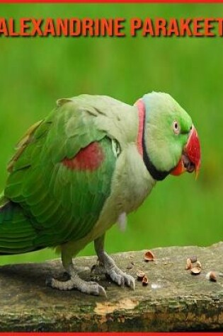 Cover of Alexandrine Parakeet