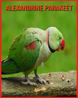 Book cover for Alexandrine Parakeet