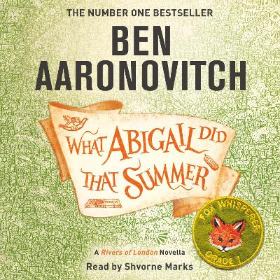 Book cover for What Abigail Did That Summer