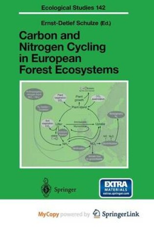 Cover of Carbon and Nitrogen Cycling in European Forest Ecosystems