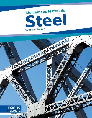 Book cover for Momentous Materials: Steel