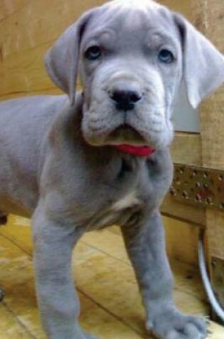 Cover of Blue Great Dane Puppy, for the Love of Dogs