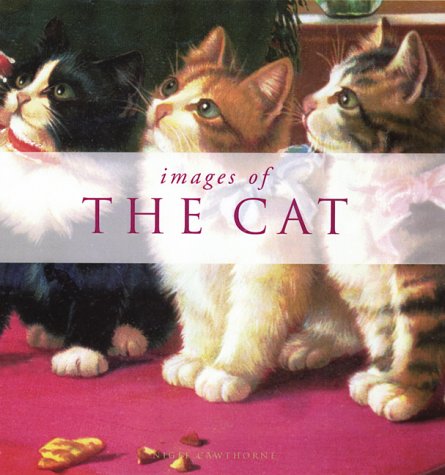 Book cover for Images of the Cat