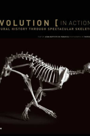 Cover of Evolution in Action: Natural History