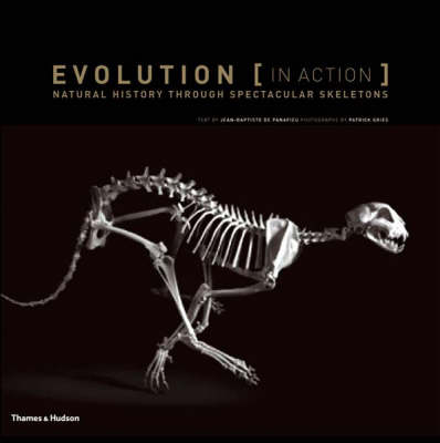 Book cover for Evolution in Action: Natural History