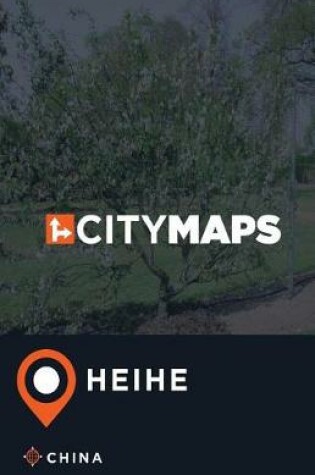 Cover of City Maps Heihe China