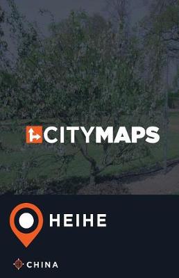 Book cover for City Maps Heihe China