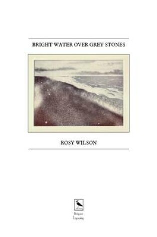 Cover of Bright Water Over Grey Stones