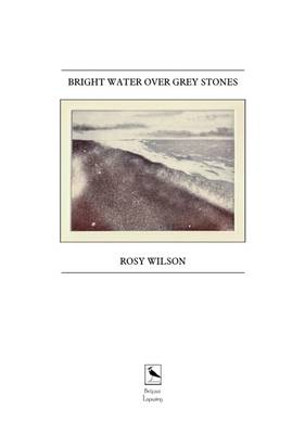 Book cover for Bright Water Over Grey Stones