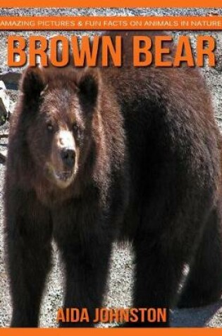 Cover of Brown Bear