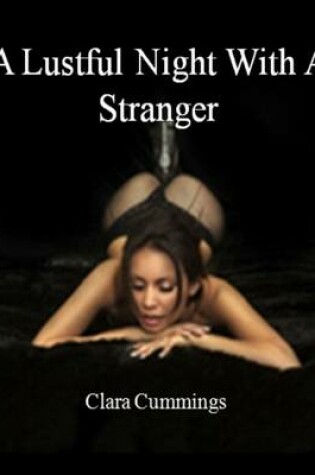 Cover of A Lustful Night with a Stranger