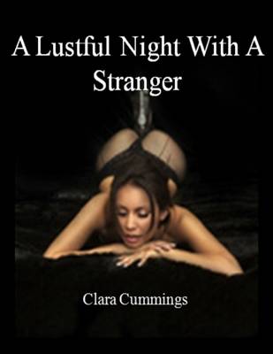 Book cover for A Lustful Night with a Stranger