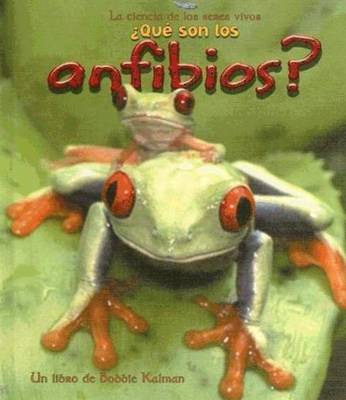 Book cover for Que son los Anfibios?