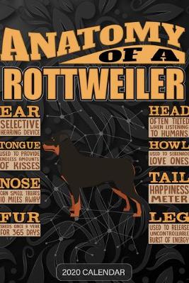 Book cover for Anatomy Of A Rottweiler