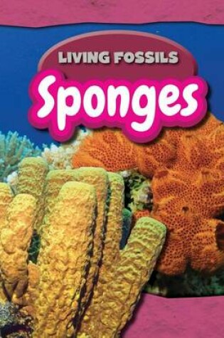 Cover of Sponges