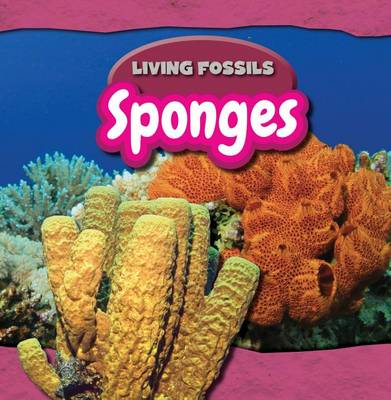 Book cover for Sponges