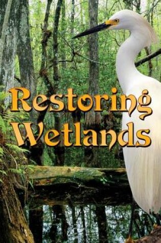 Cover of Restoring Wetlands