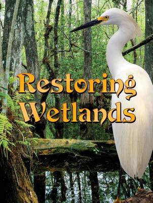 Book cover for Restoring Wetlands