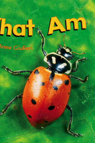 Cover of What Am I?