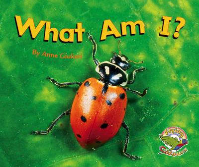 Book cover for What Am I?