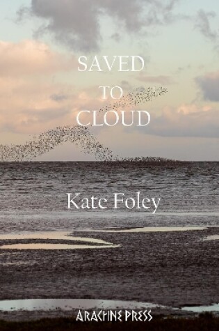 Cover of Saved to Cloud