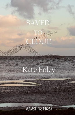 Book cover for Saved to Cloud