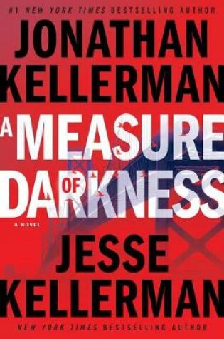 Cover of A Measure of Darkness
