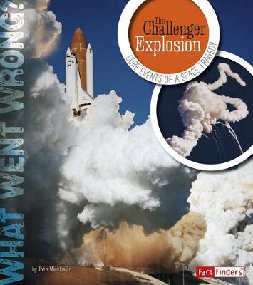 Book cover for The Challenger Explosion