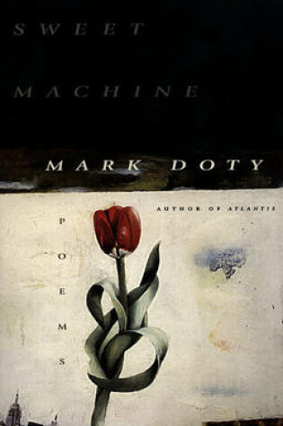 Cover of Sweet Machine