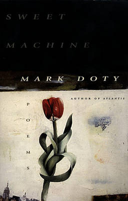 Book cover for Sweet Machine