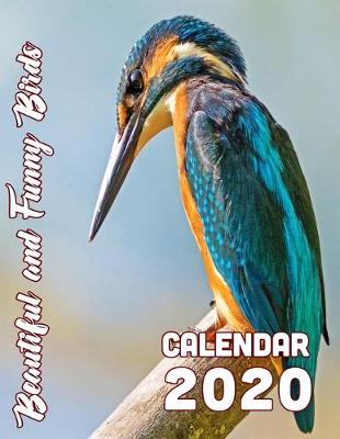 Book cover for Beautiful and Funny Birds Calendar 2020