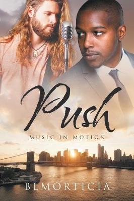 Book cover for Push